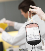 Transfusion Medicine and Cell Therapies